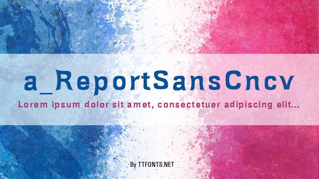 a_ReportSansCncv example