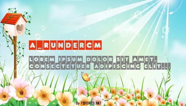 a_RunderCm example