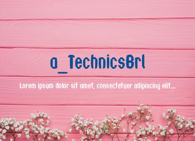 a_TechnicsBrl example