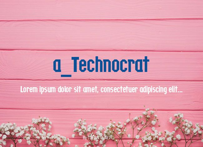a_Technocrat example