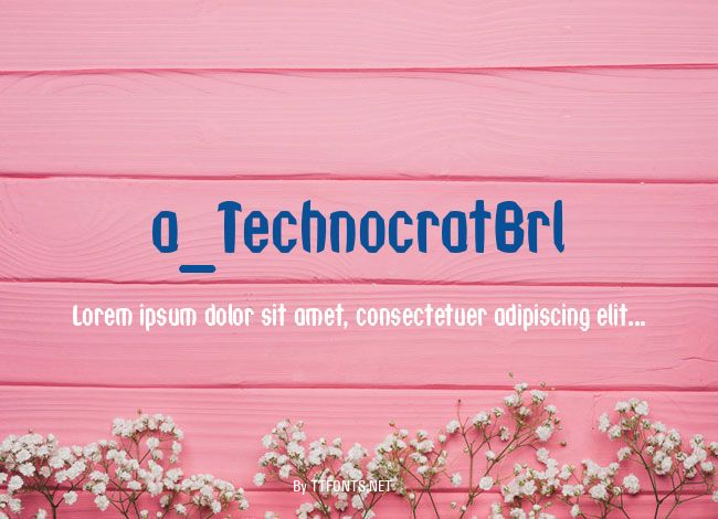 a_TechnocratBrl example