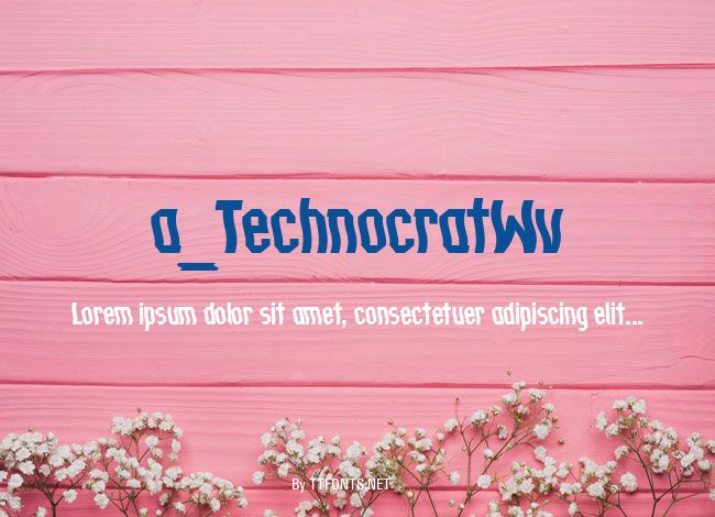 a_TechnocratWv example