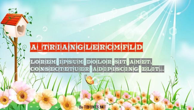 a_TrianglerCmFld example
