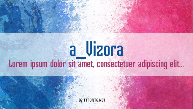 a_Vizora example
