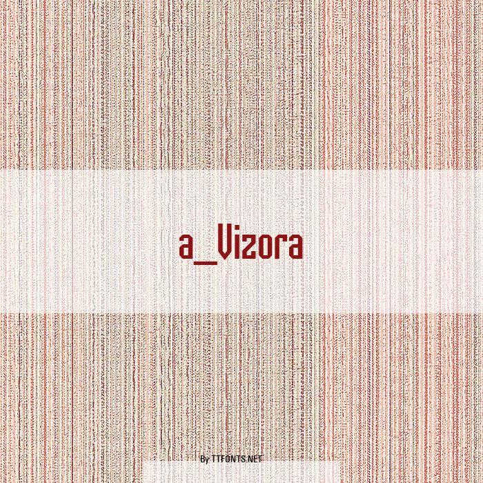 a_Vizora example