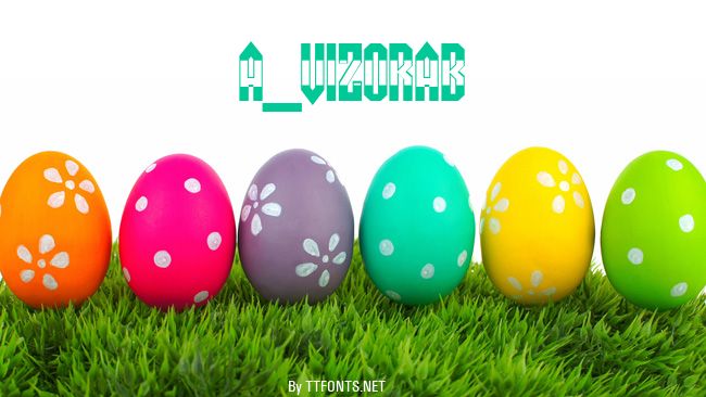 a_VizoraB&W example