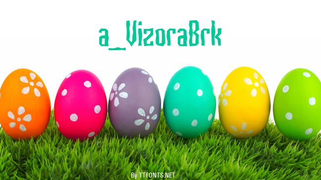 a_VizoraBrk example
