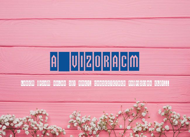 a_VizoraCm example