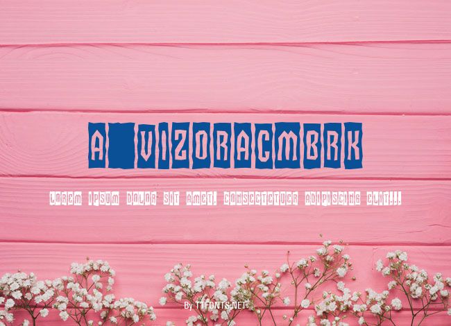 a_VizoraCmBrk example