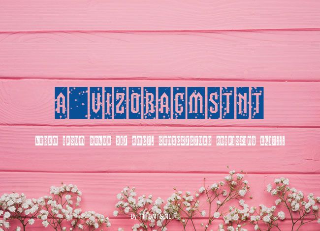 a_VizoraCmStNt example