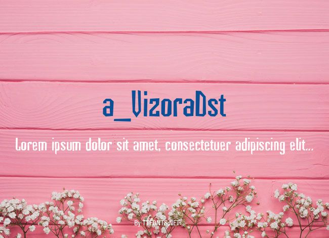 a_VizoraDst example