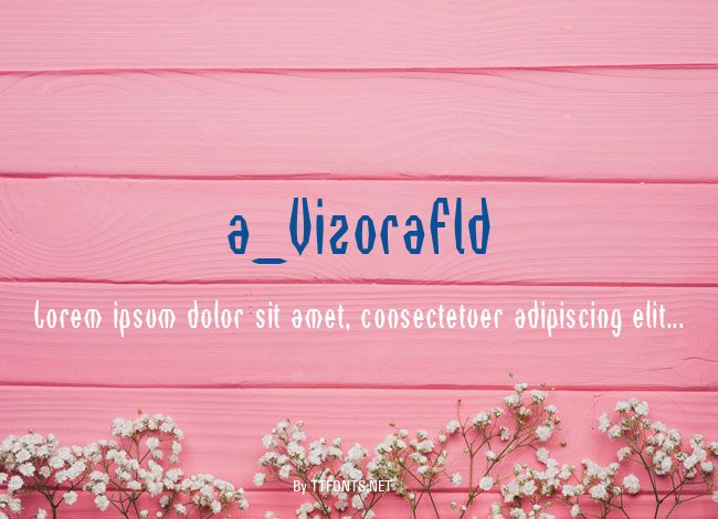 a_VizoraFld example
