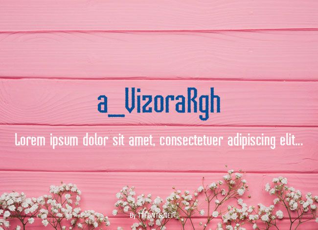a_VizoraRgh example