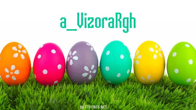 a_VizoraRgh example