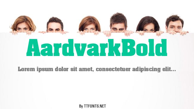 AardvarkBold example