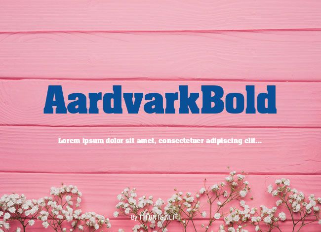AardvarkBold example