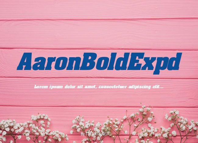 AaronBoldExpd example