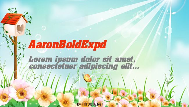 AaronBoldExpd example