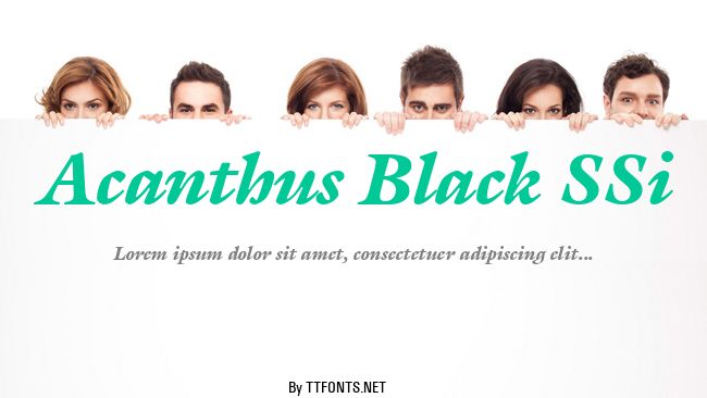 Acanthus Black SSi example