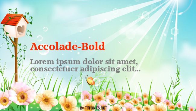 Accolade-Bold example