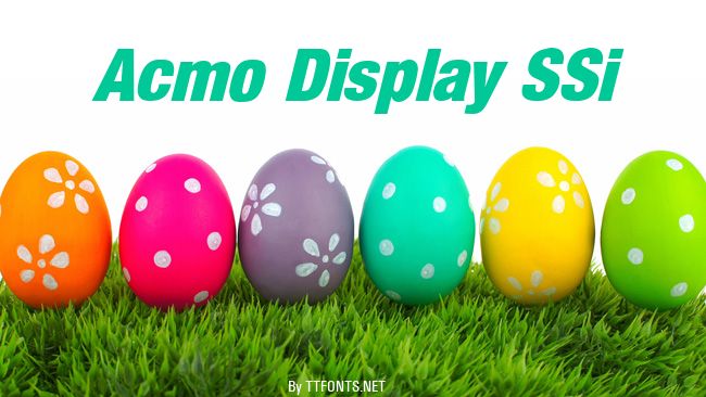 Acmo Display SSi example