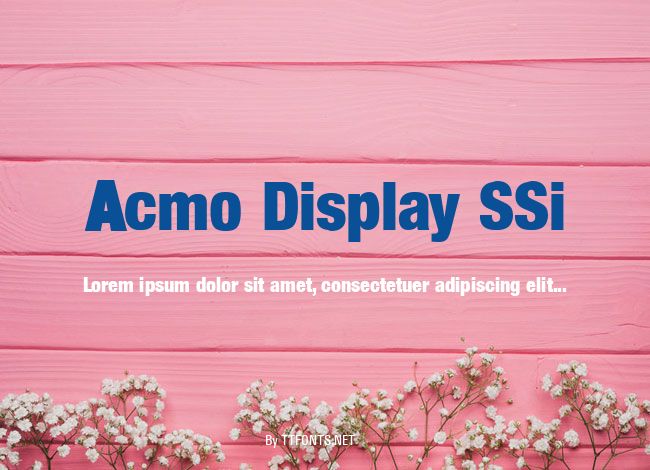 Acmo Display SSi example