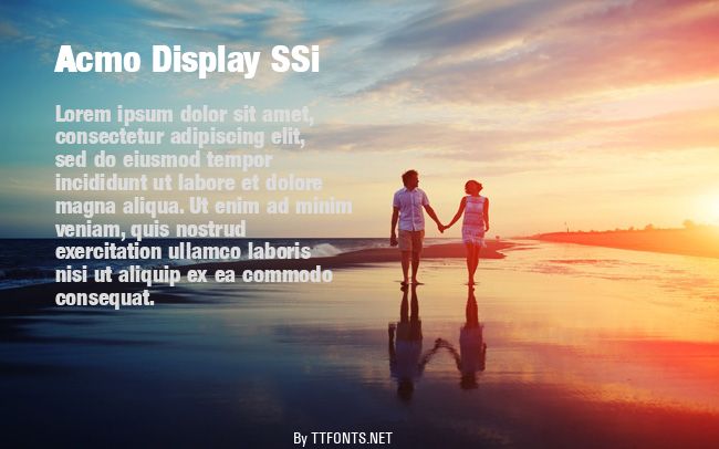 Acmo Display SSi example