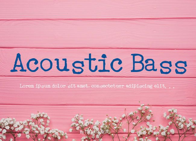 Acoustic Bass example