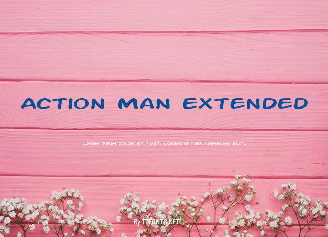 Action Man Extended example