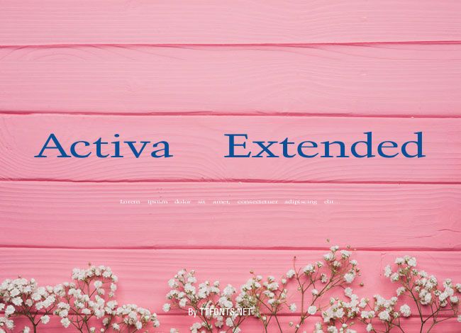 Activa Extended example