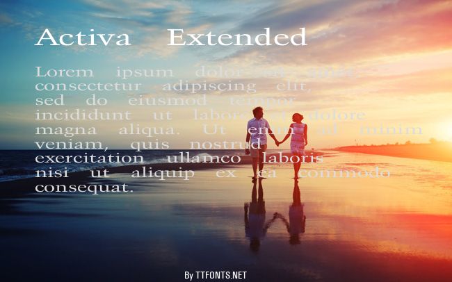 Activa Extended example