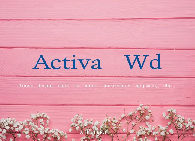 Activa Wd example
