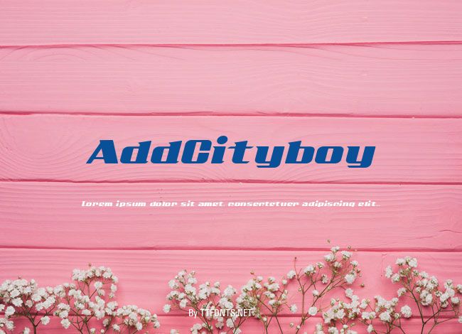 AddCityboy example