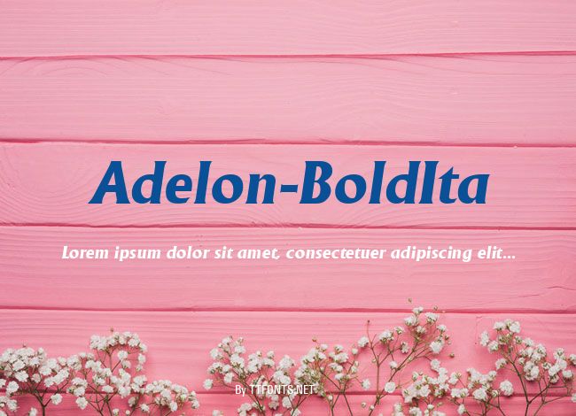 Adelon-BoldIta example