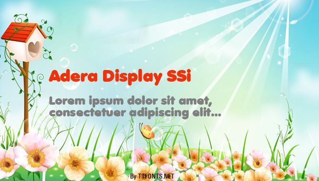 Adera Display SSi example