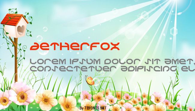 Aetherfox example