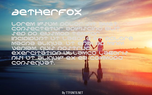 Aetherfox example