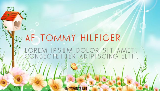 AF TOMMY HILFIGER example