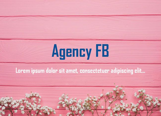 Agency FB example