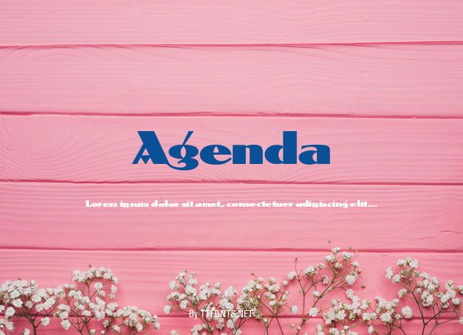 Agenda example