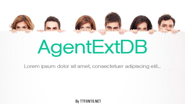 AgentExtDB example