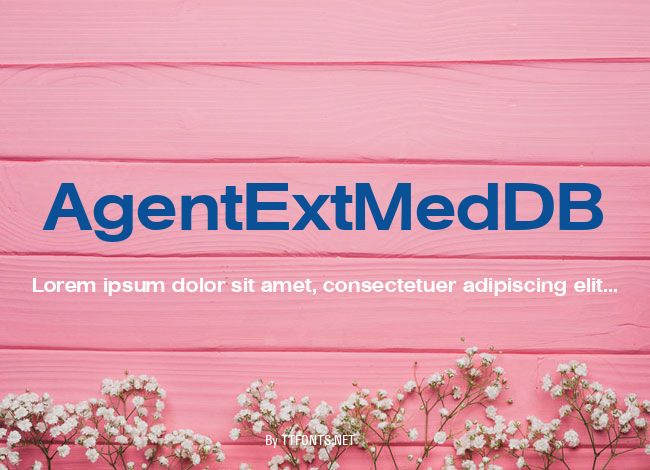 AgentExtMedDB example