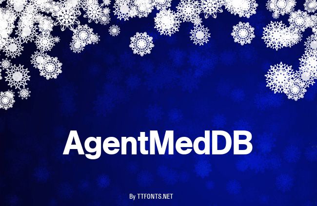 AgentMedDB example