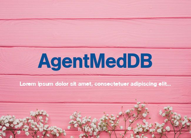 AgentMedDB example