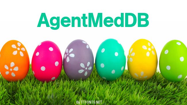 AgentMedDB example