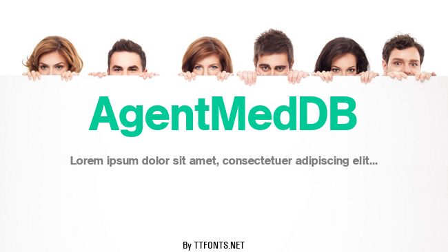 AgentMedDB example