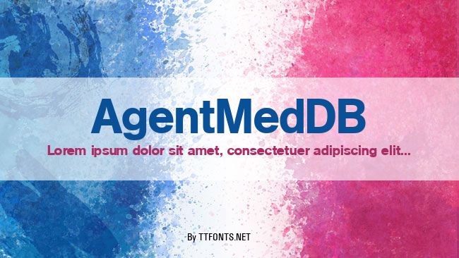 AgentMedDB example