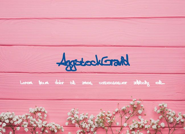 AggstockGravid example