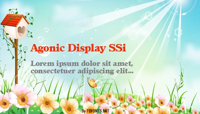 Agonic Display SSi example