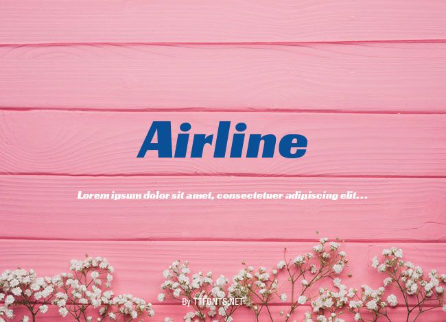 Airline example